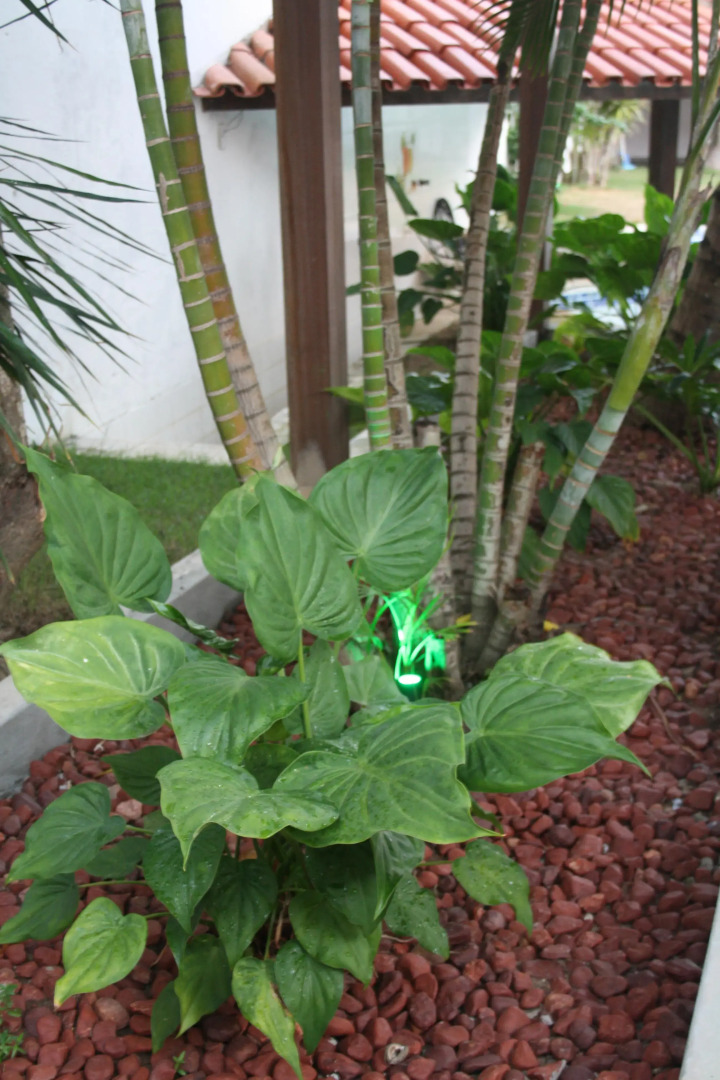 Pousada Villa Tropicale