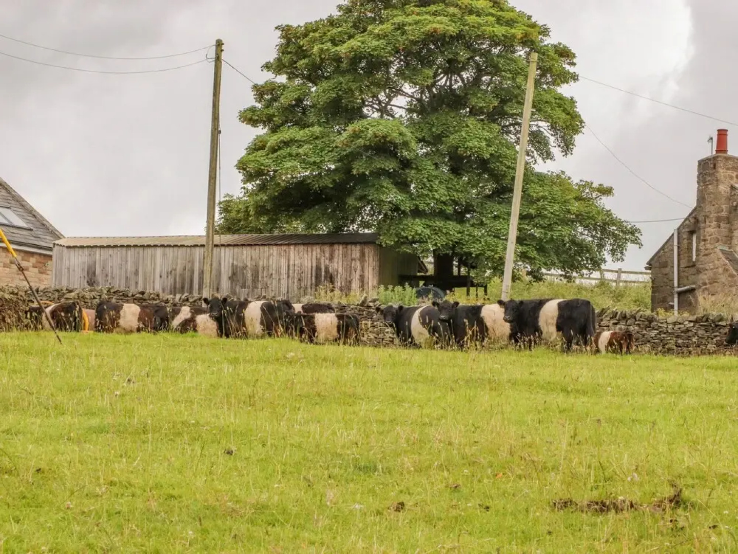 The Herdsman Luxury Shepherds Hut