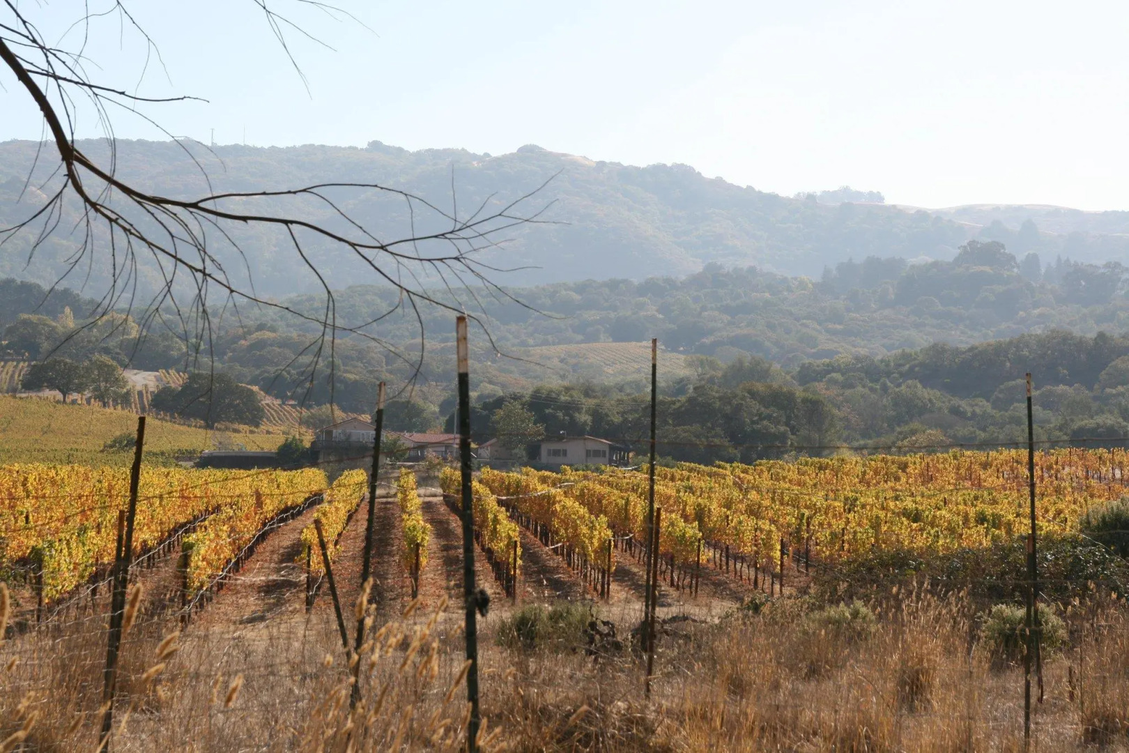 Hampton Inn & Suites Rohnert Park - Sonoma County