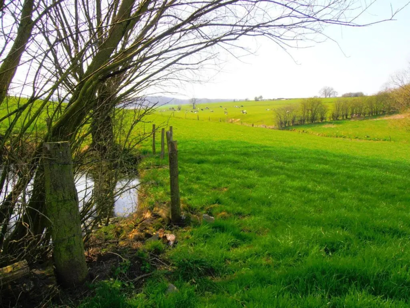 Hotel Restaurant The Kings Head Inn
