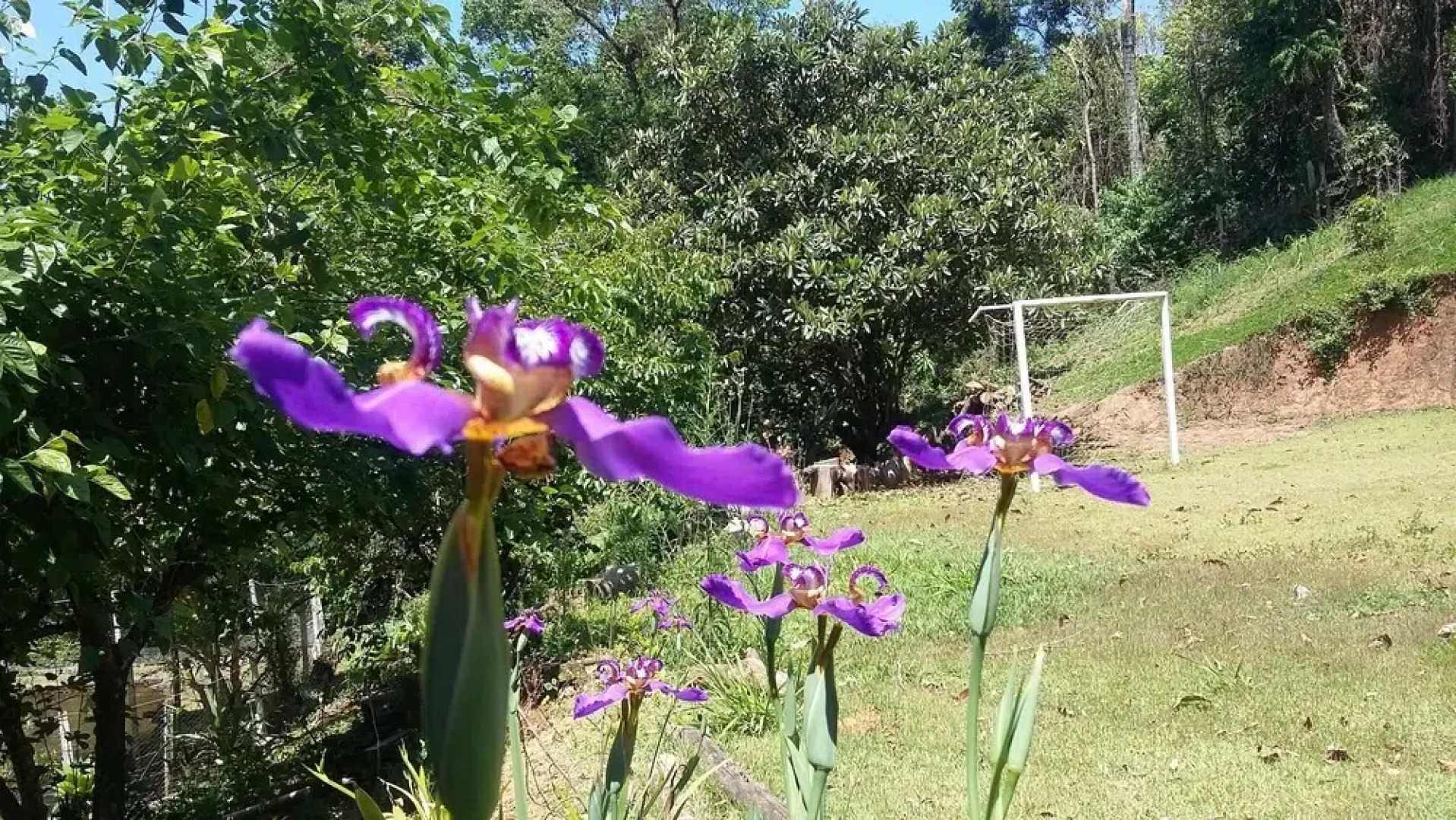 Chacara do Alemao Recanto Jardim Silvestre