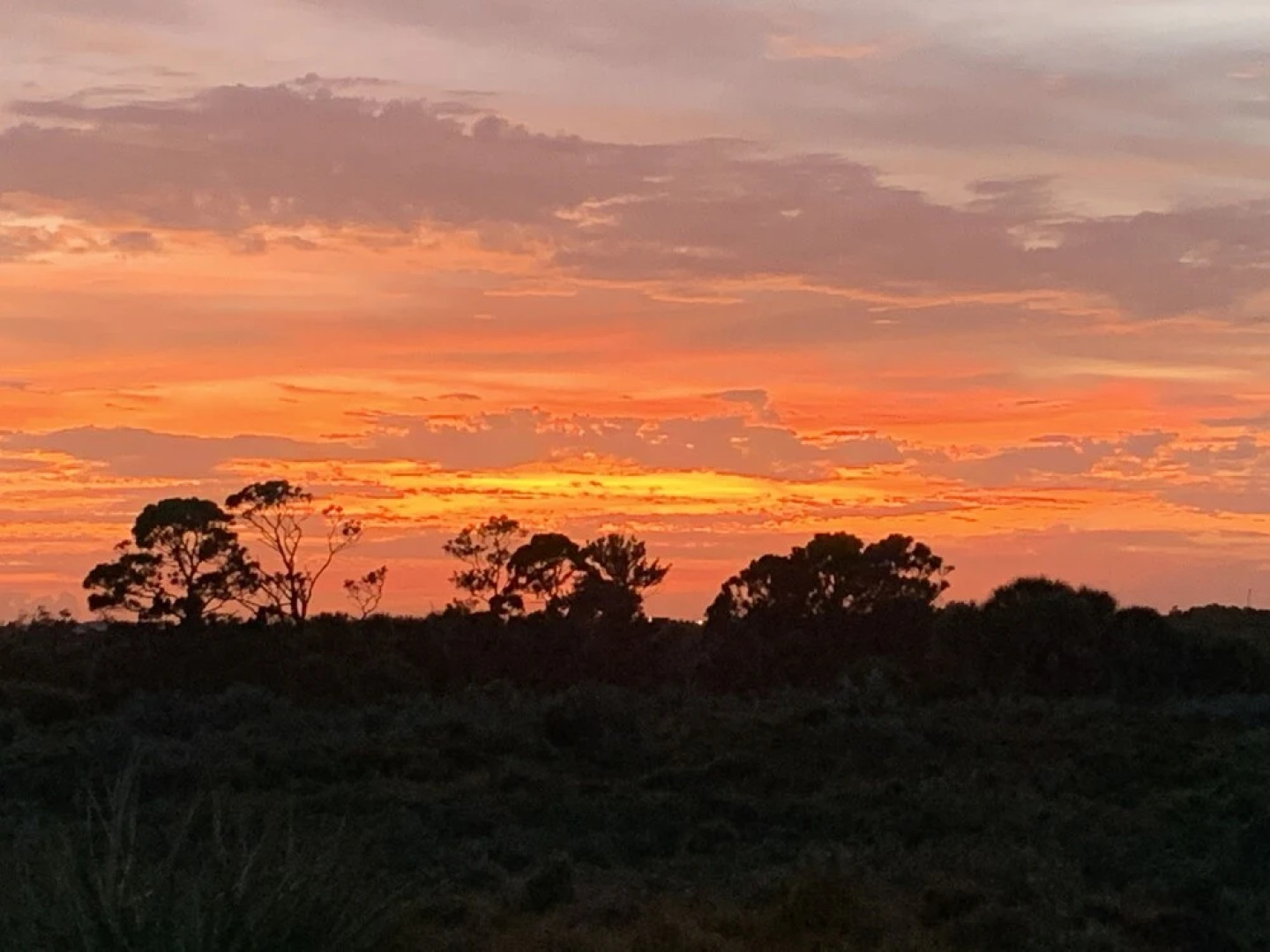 Seas The Day 7 - Blissful Beach Abode-singer Island W/pool 1 Bedroom Duplex