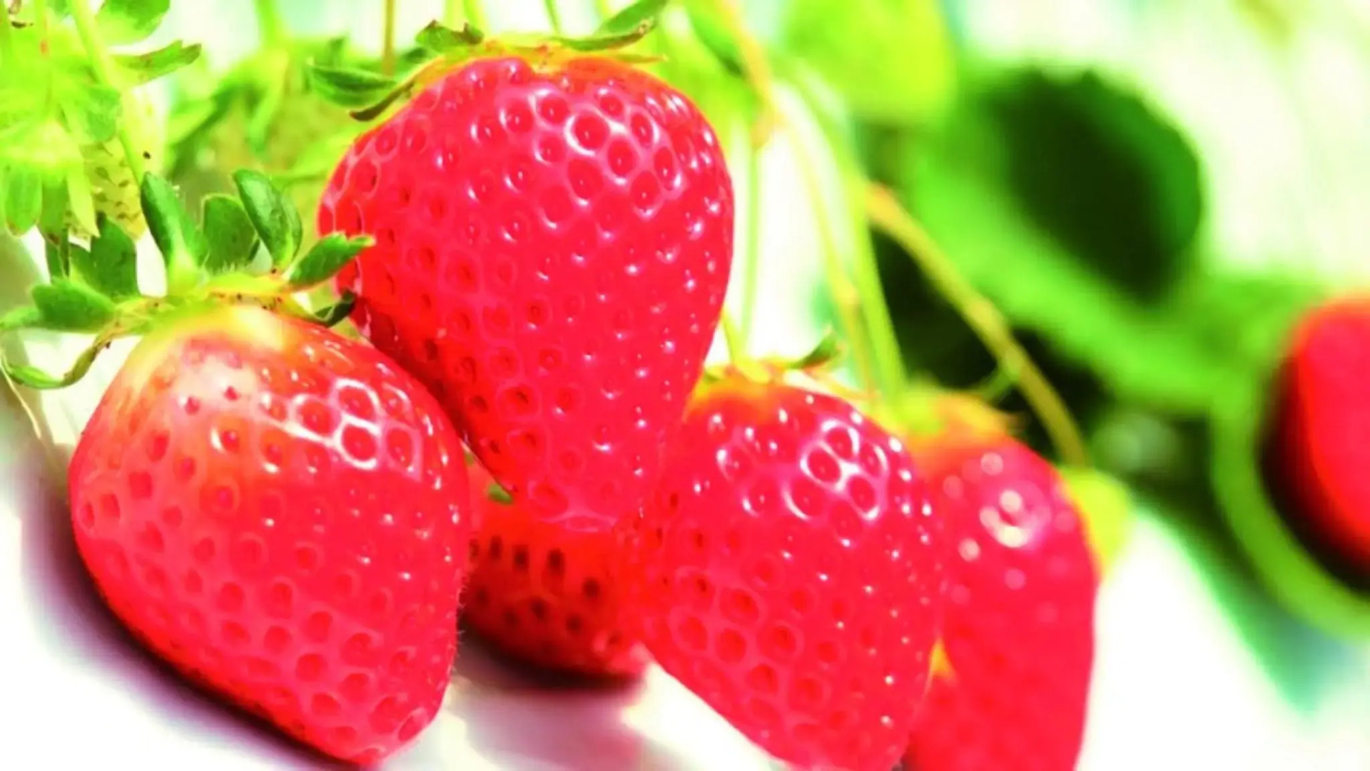 Aso Kumamoto Airport Hotel Eminence