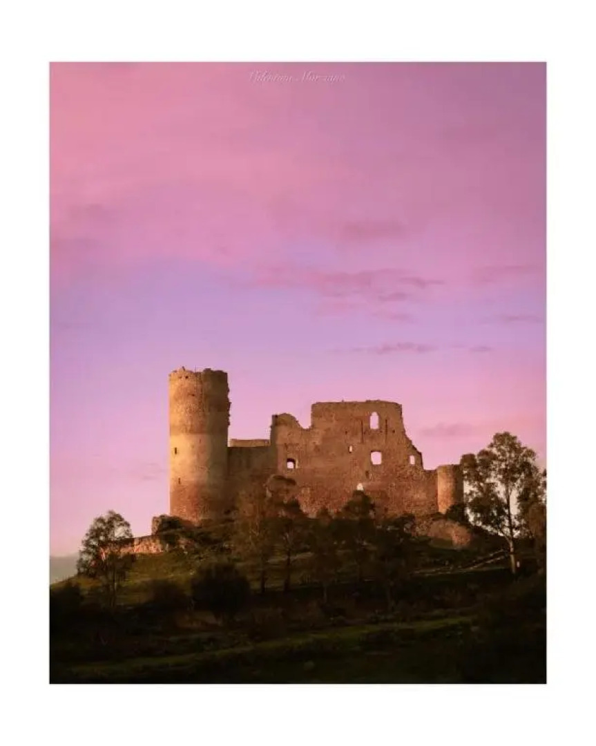 Alessi Suites & Studio