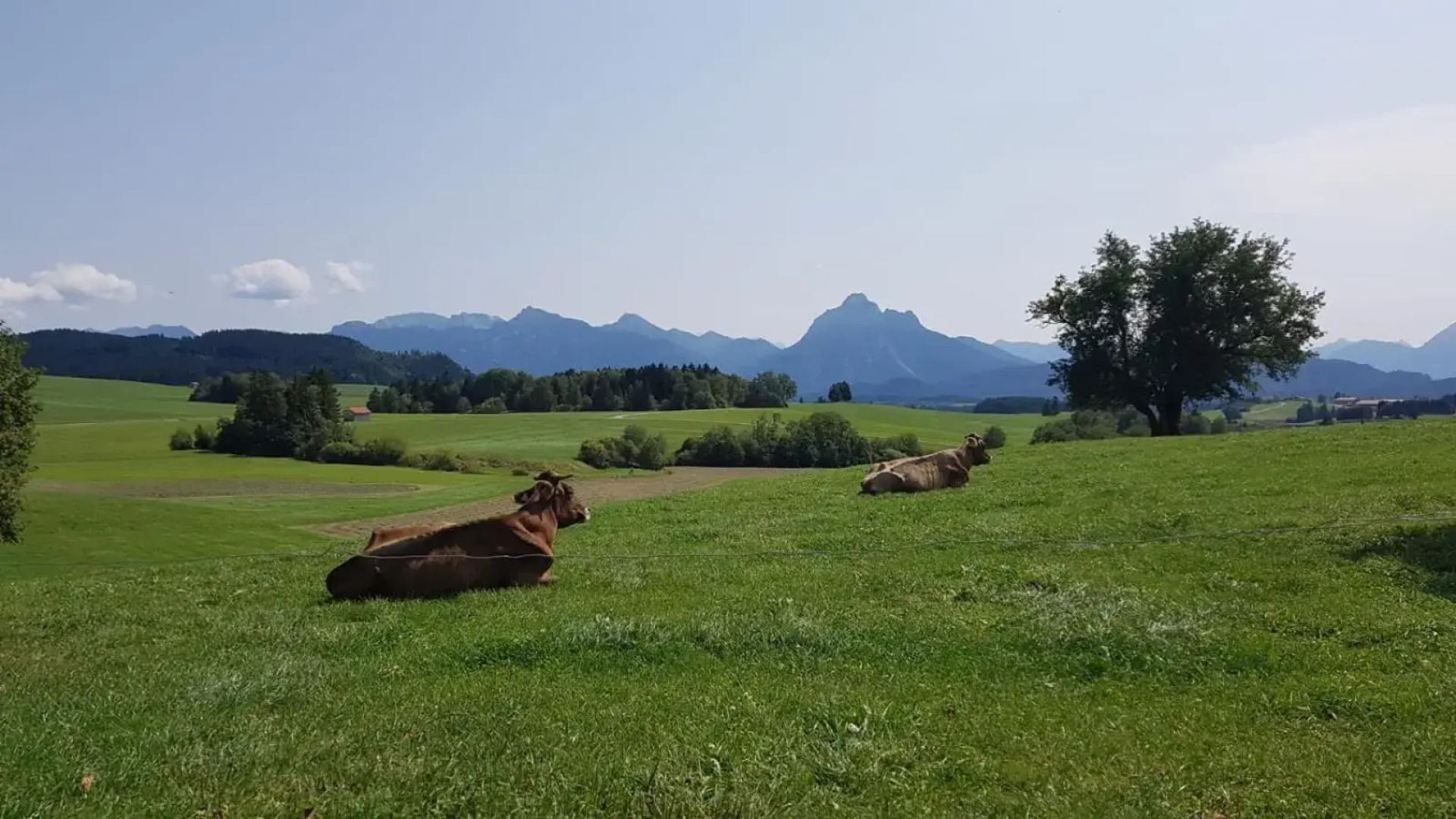 Ferienwohnung Linder