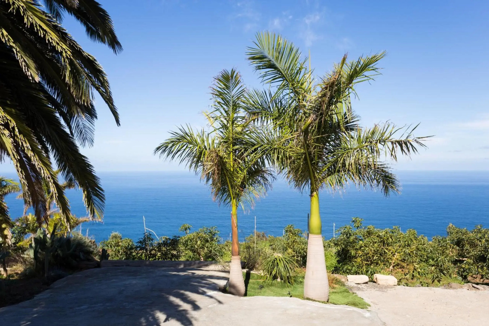 San Diego Apartamentos