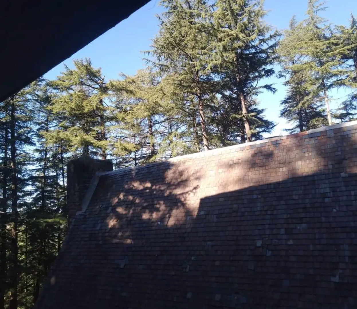 Shimla British Resort