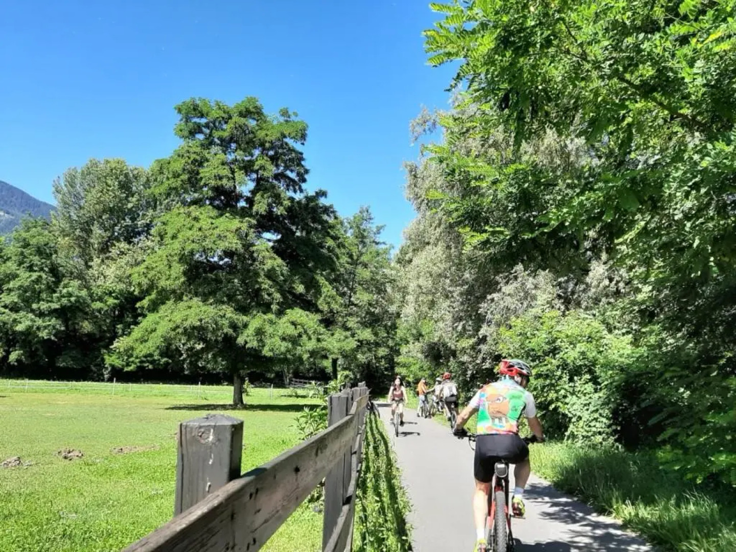 Villa Luisa Appartamenti Vacanze