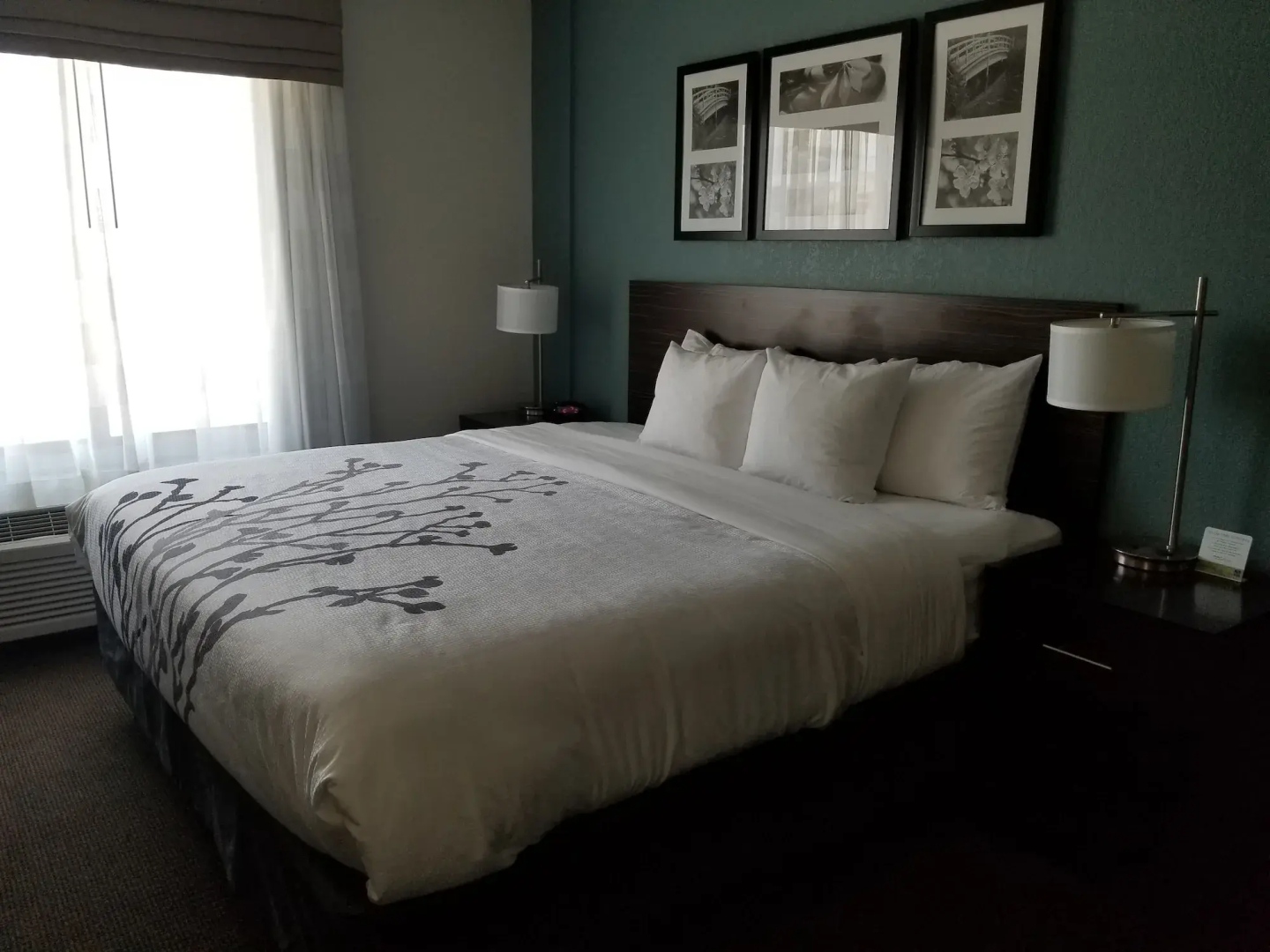 Sleep Inn & Suites Ames near ISU Campus