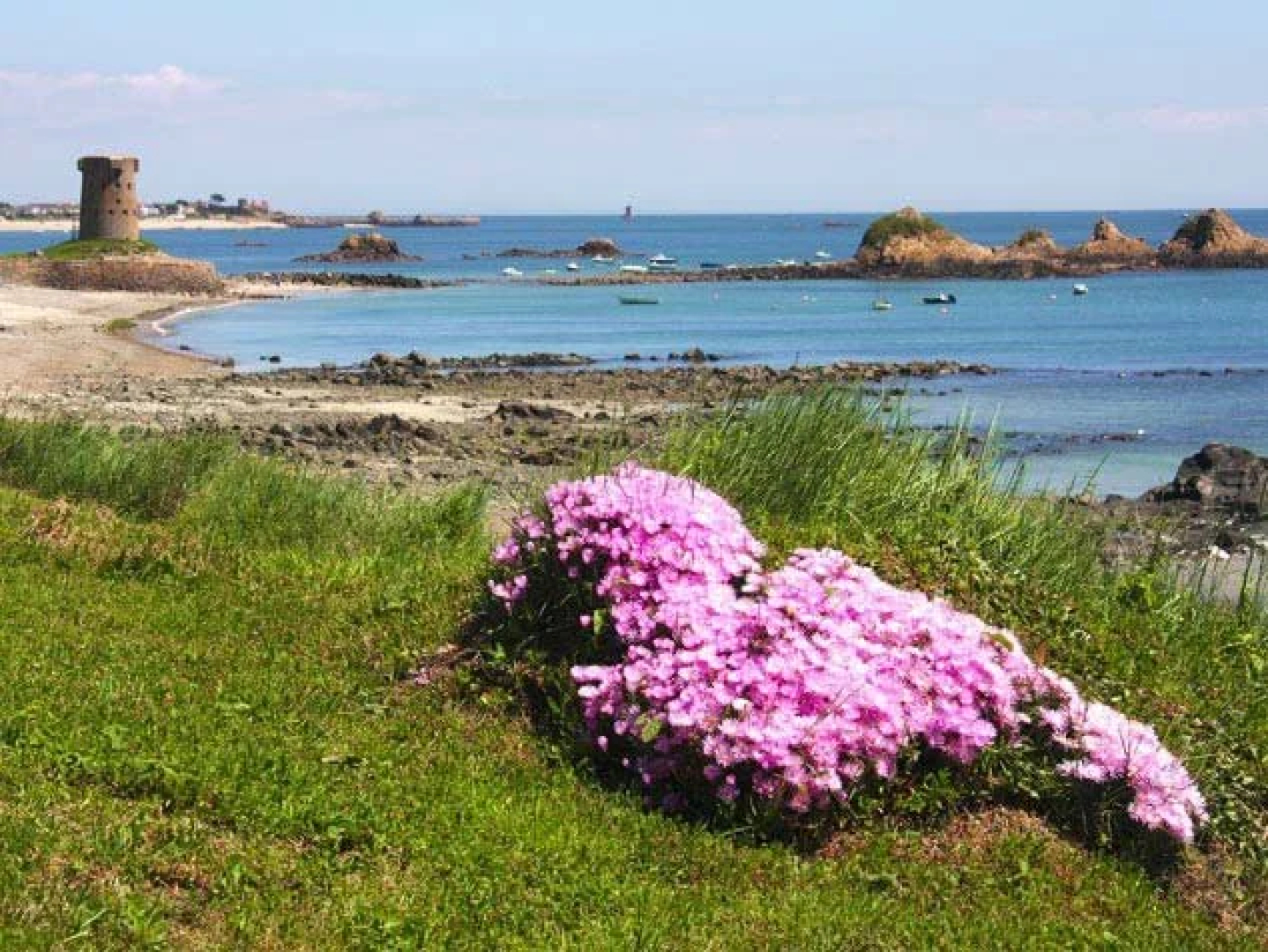 Shakespeare Coastal Hotel