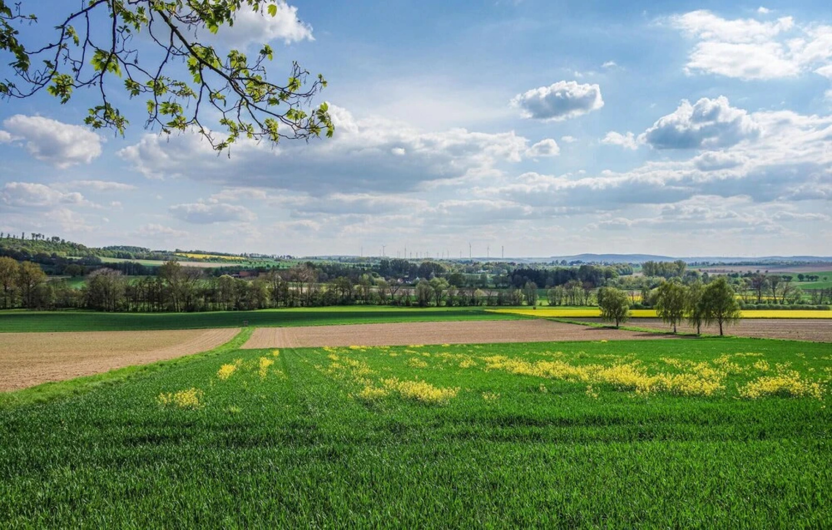 Nice Apartment in Marienmünster With Sauna, Wifi and 2 Bedrooms