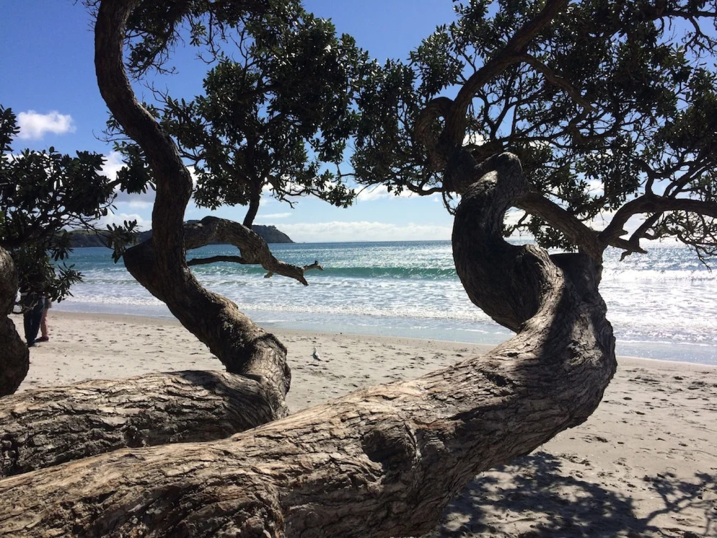 Apartment On The Beach