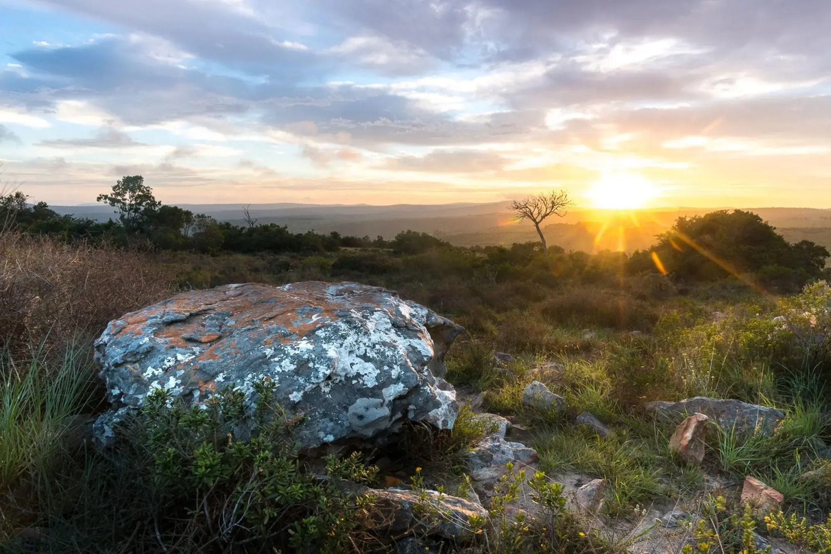 Shamwari Eagles Crag