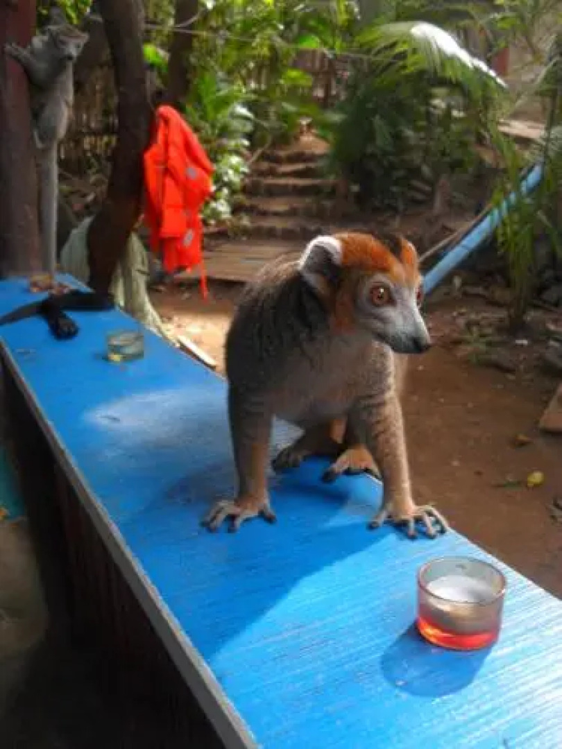 Guest House Mad'avia