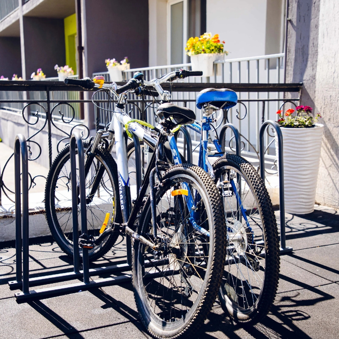 Сибирская здравница