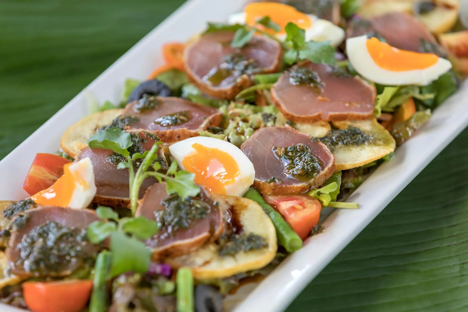 Aga Reef Resort and Spa