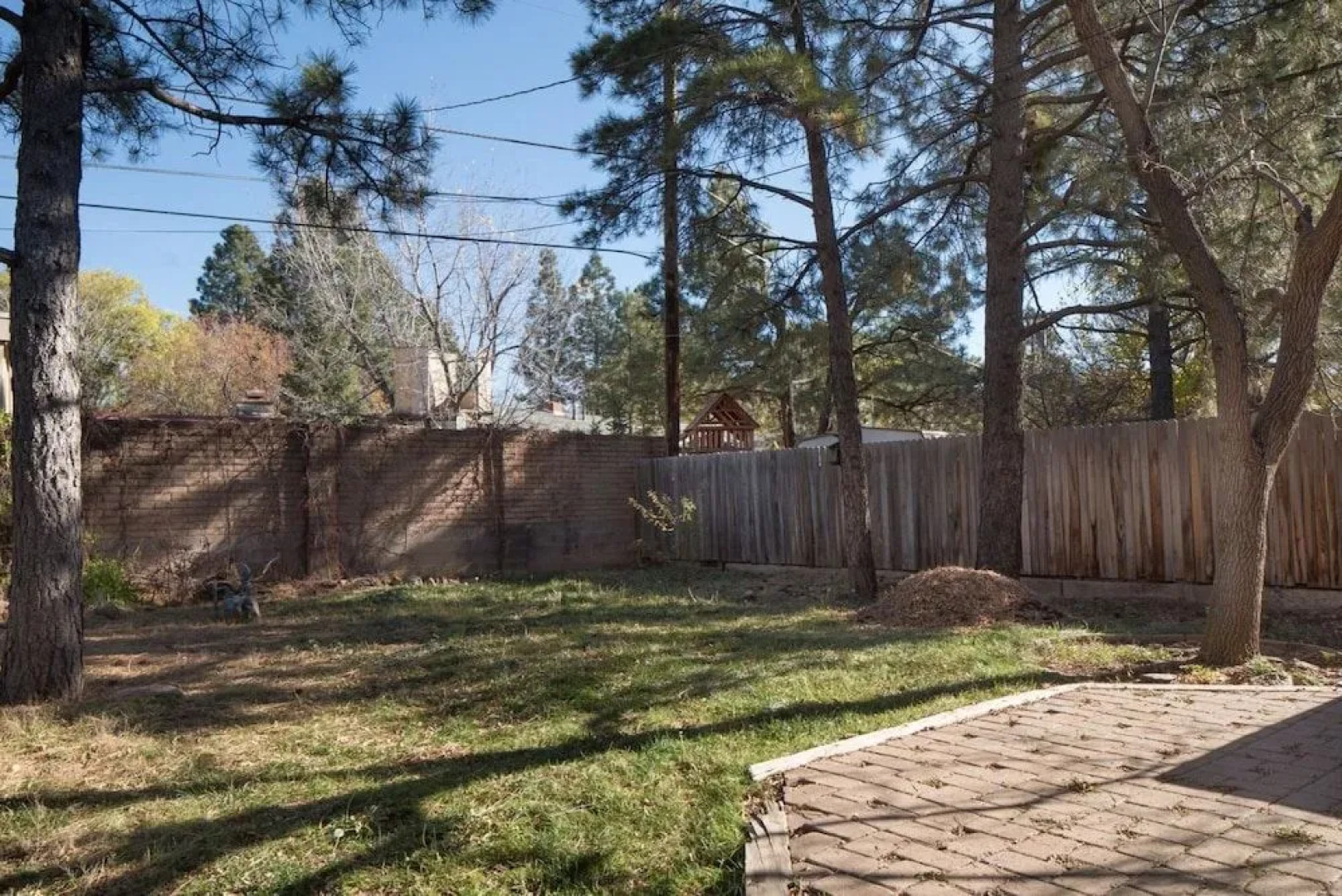 Artsy, Downtown Treehouse