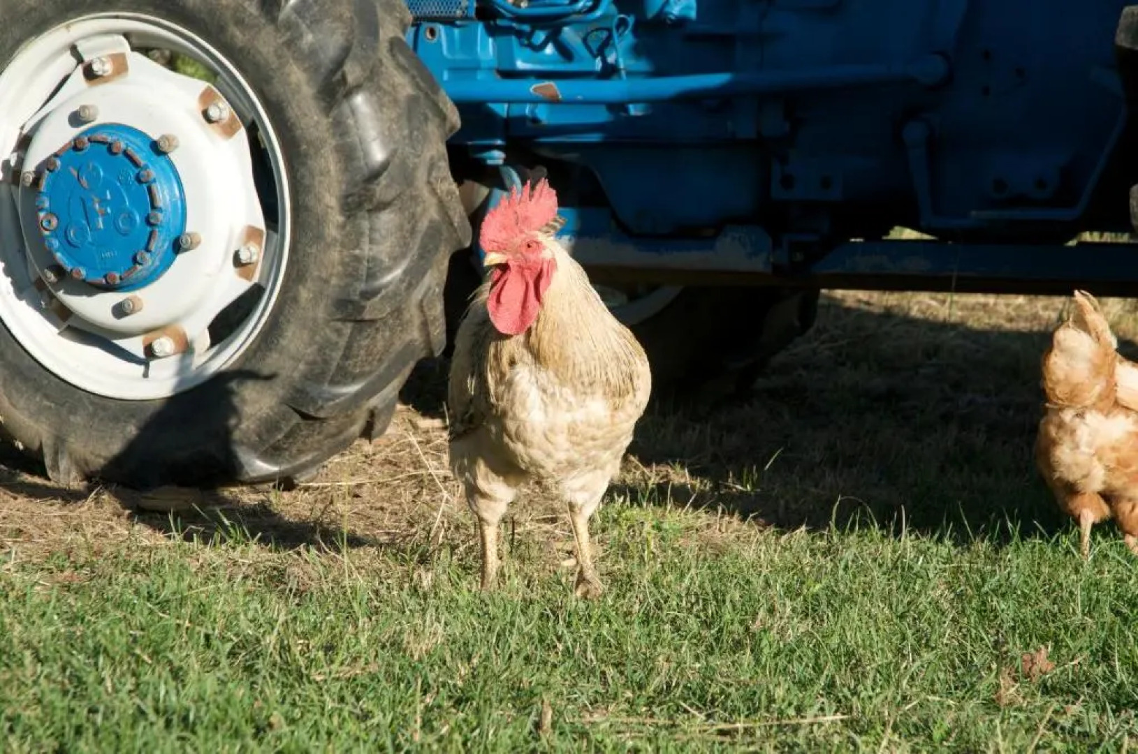 Agriturismo Fiorella