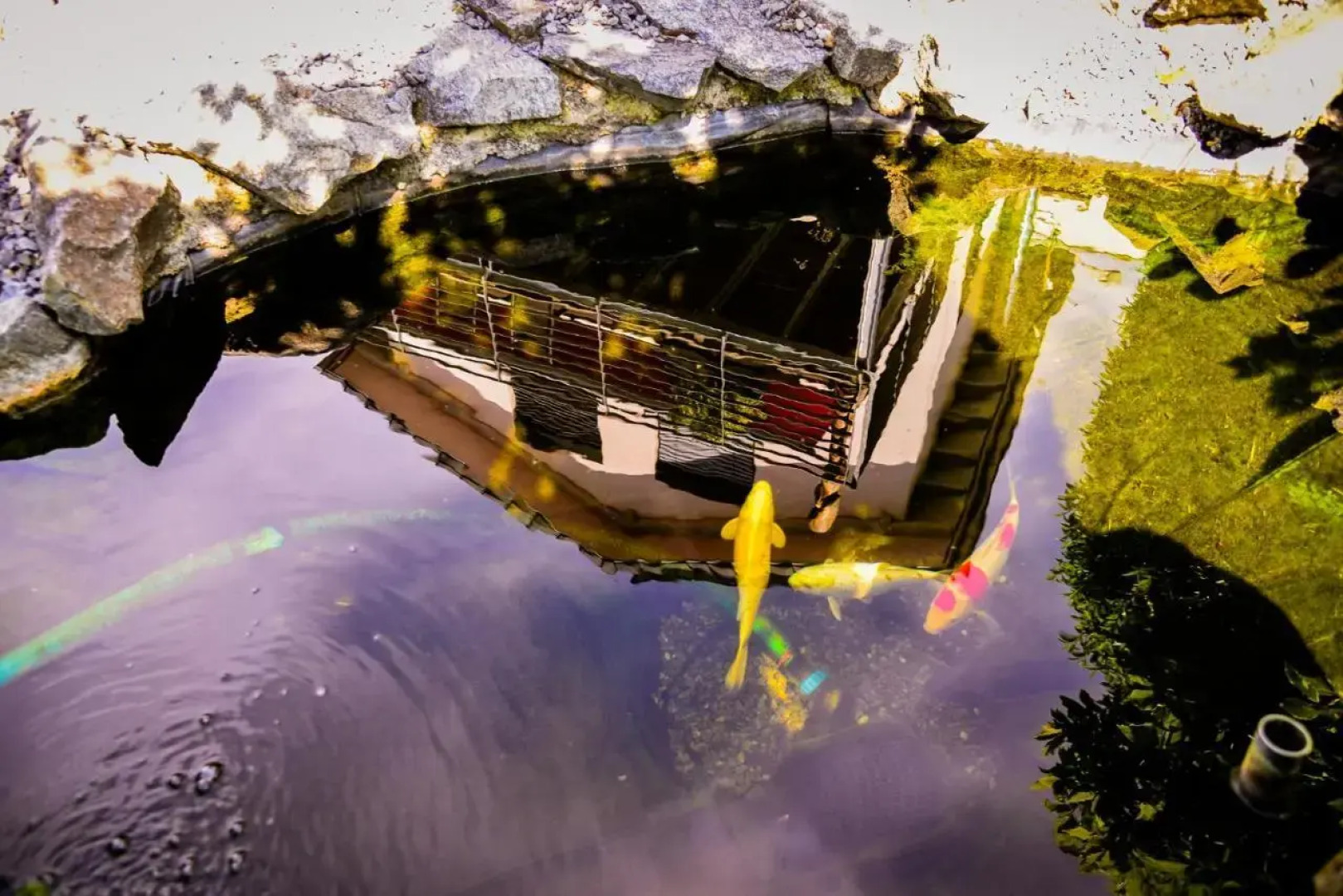 Anja's Ferienwohnung Europa Park