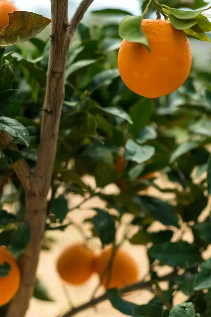 Sunset Villa In Kokkino Chorio