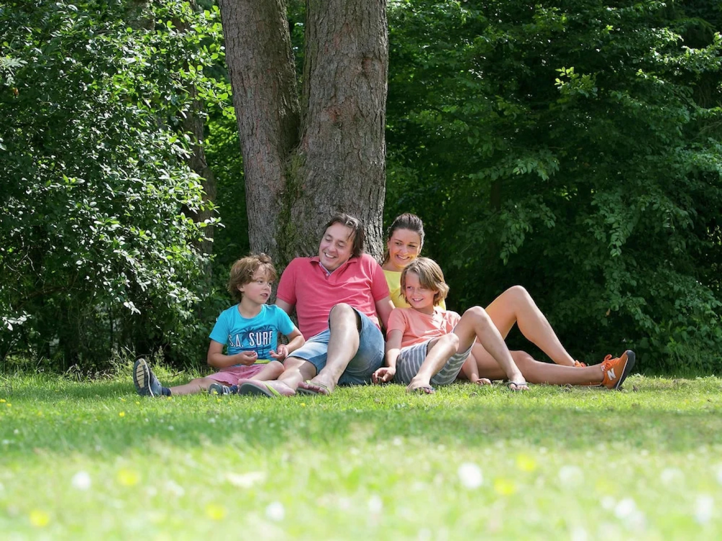 Modern villa with deco fireplace and dishwasher in De Veluwe