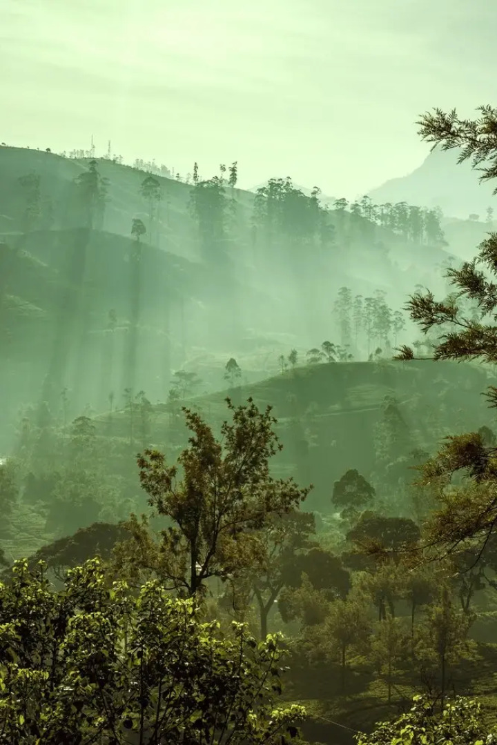 Strathdon by Zinc Journeys