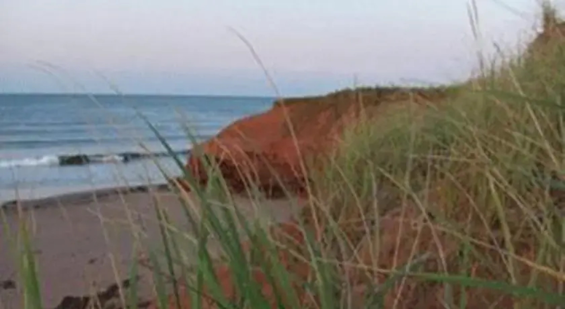 Adams Beach Cottages