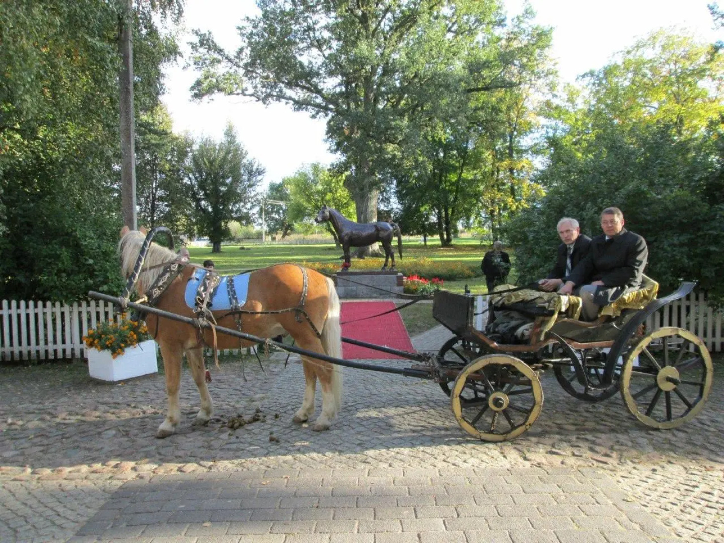 Старая аптека