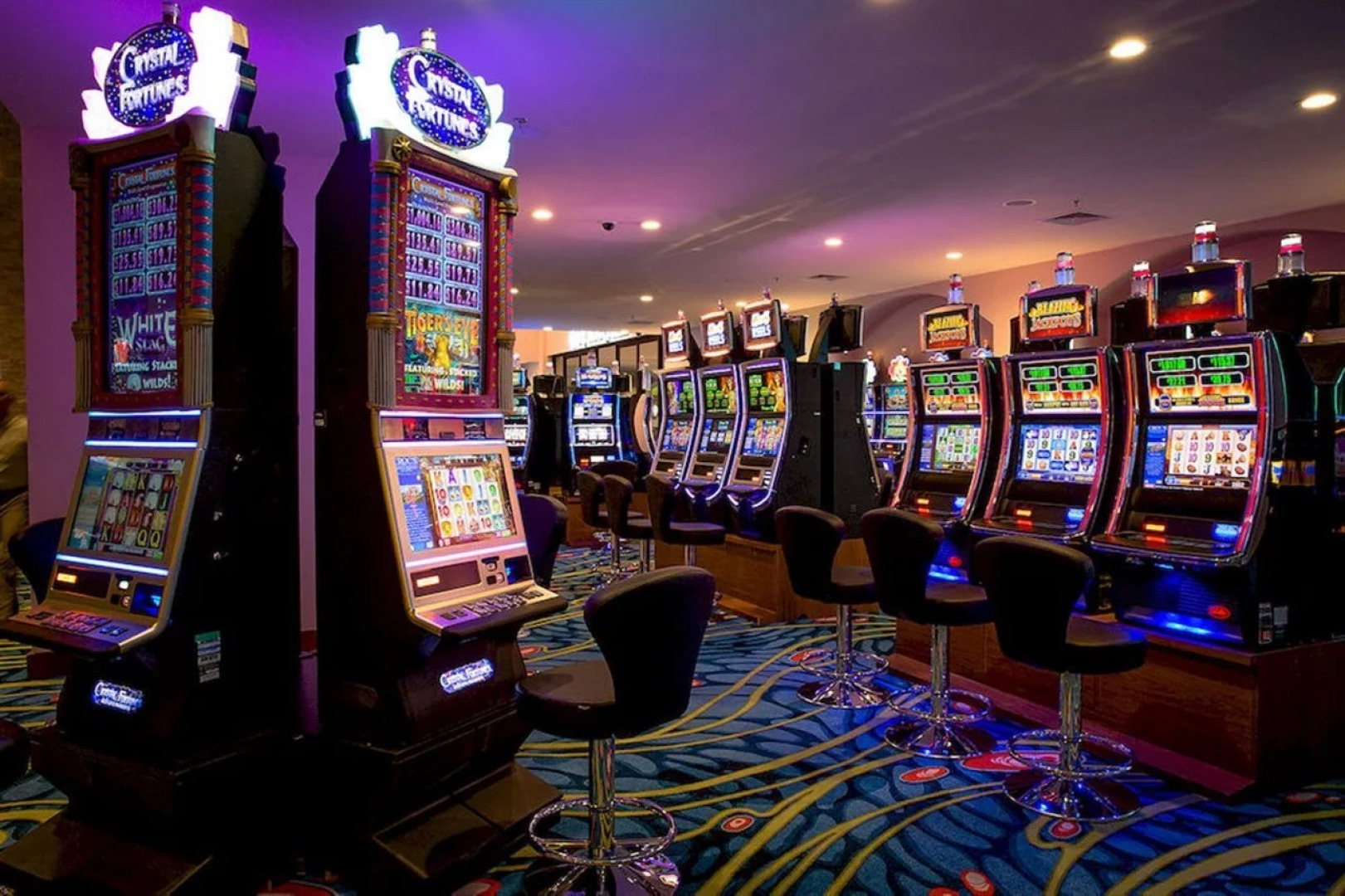 Crocs Resort & Casino