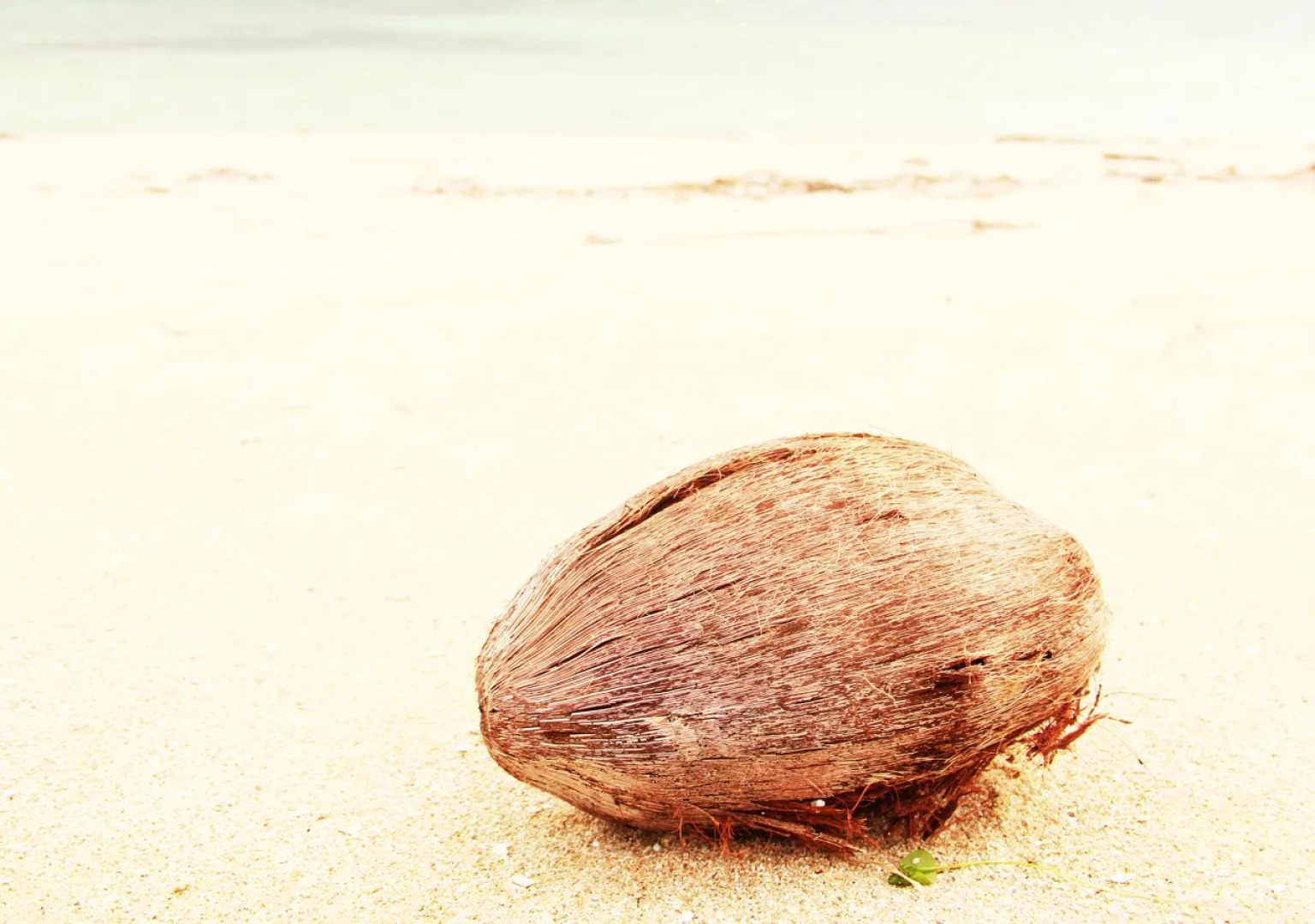 Condominium Uminchu No Yado