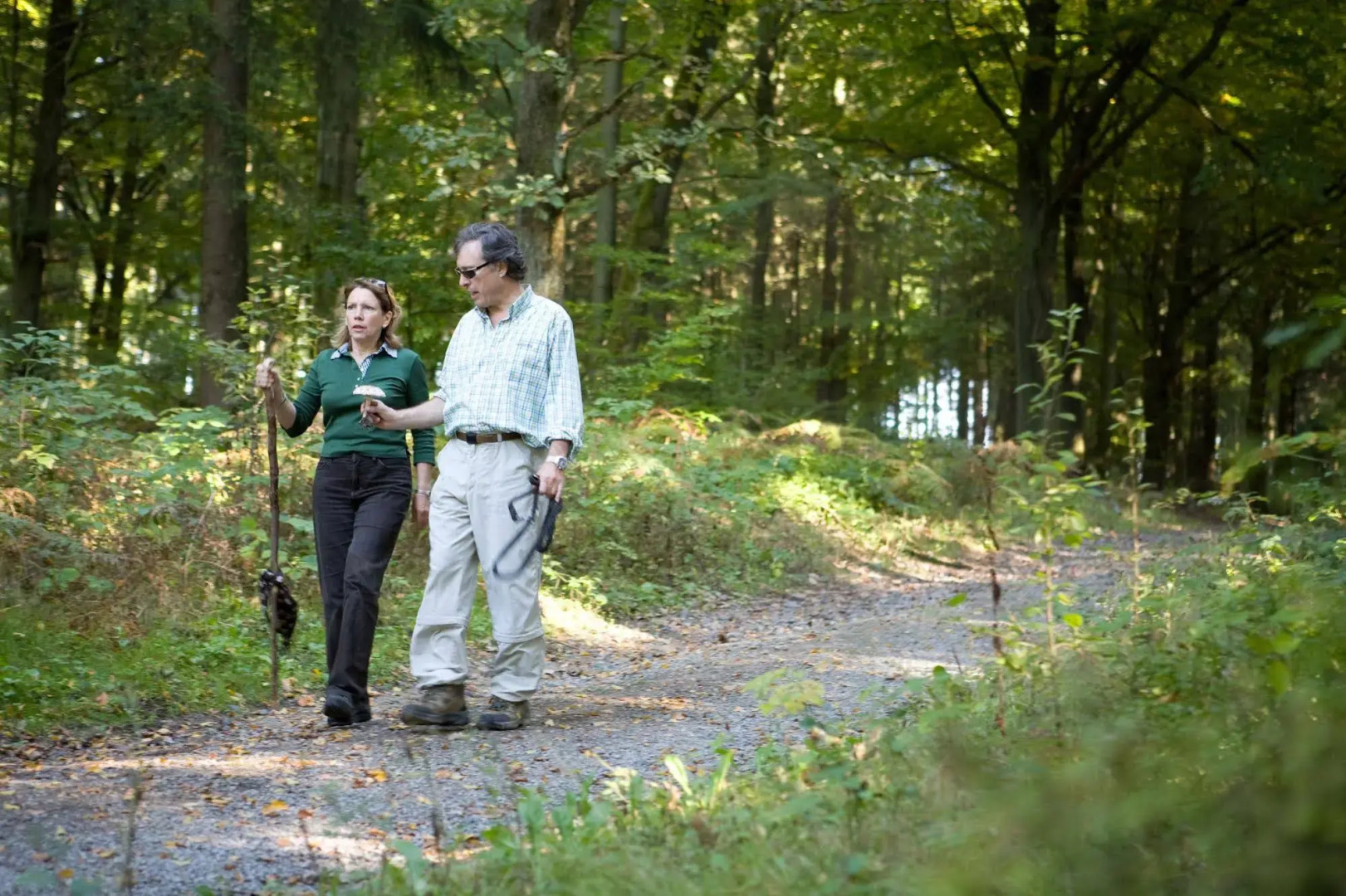 Flair Hotel Hochspessart