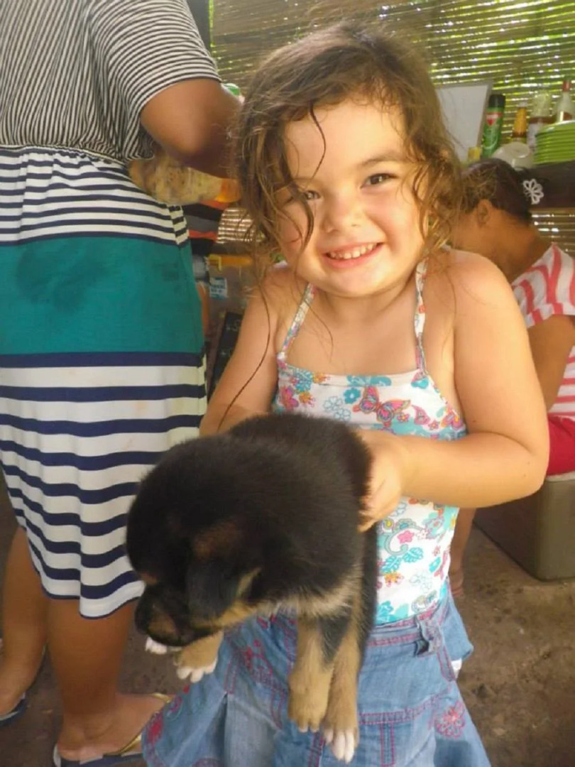 Sanctuaria Treehouses Busuanga