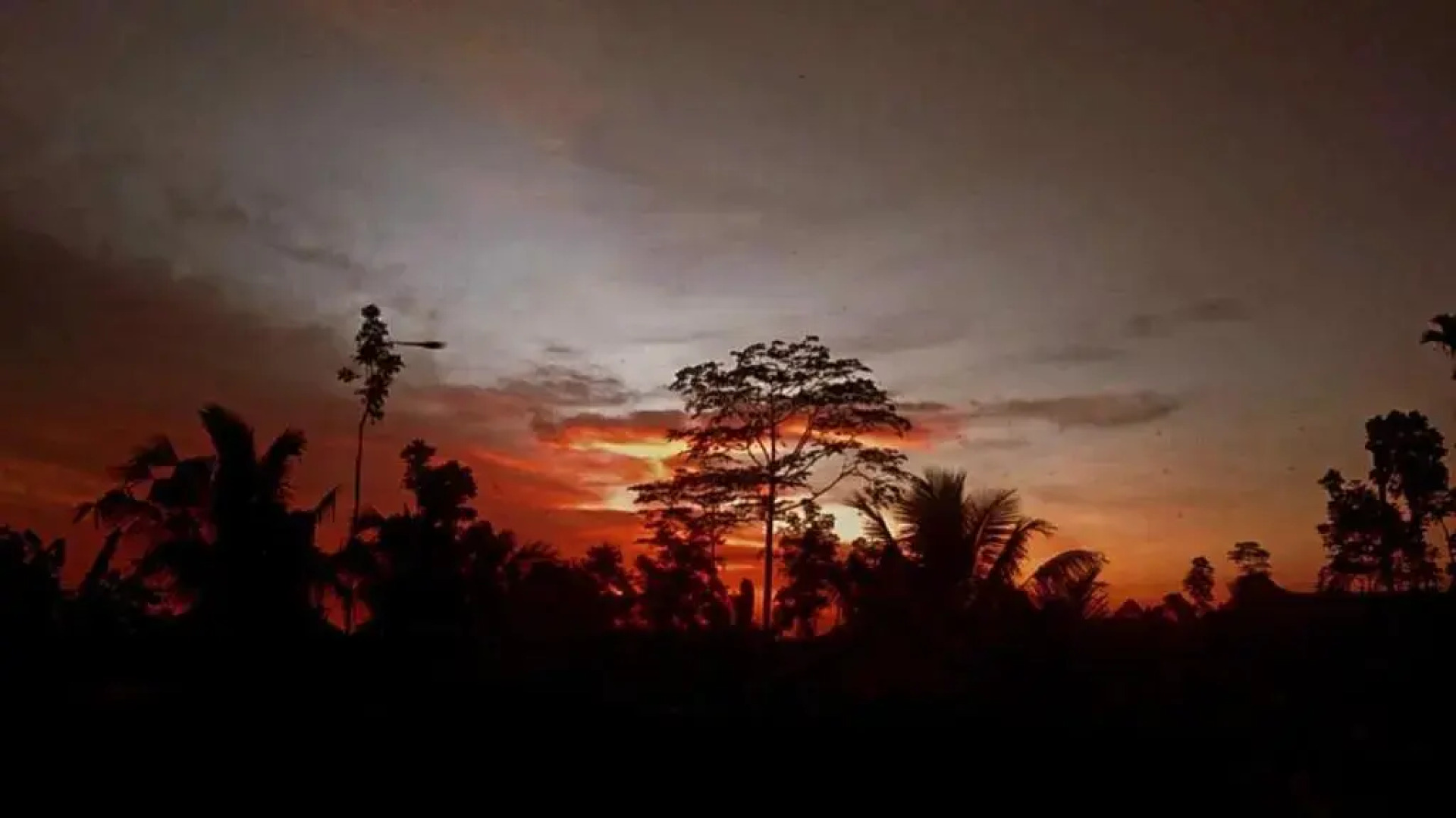 Tetebatu Garden Resort