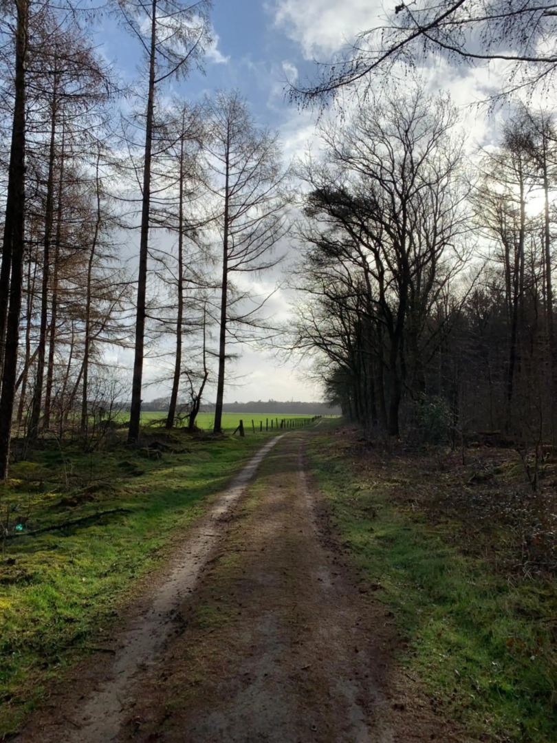 't Holten Huus - Puur genieten in het bos.