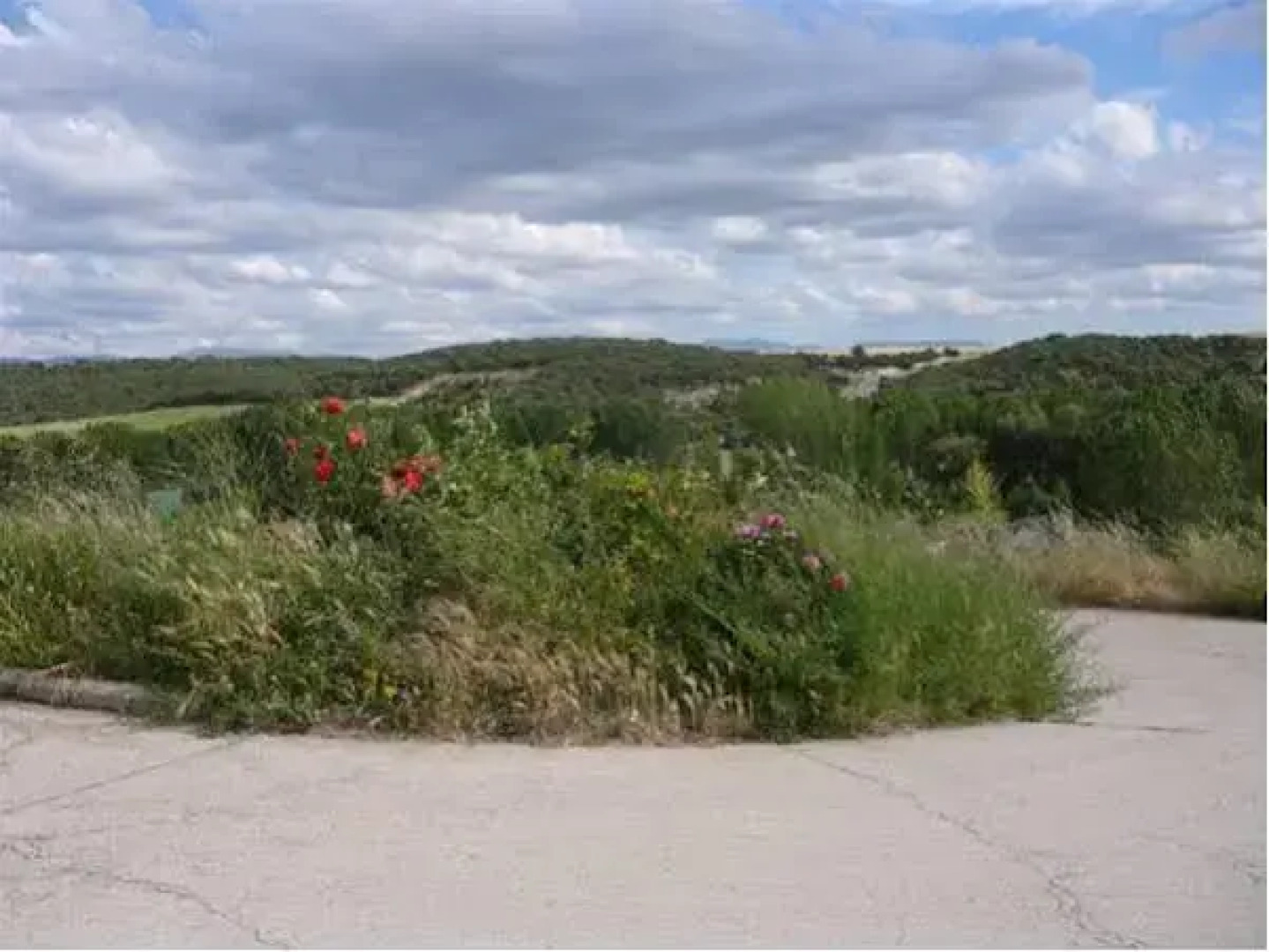 Casa Rural El Camino Real