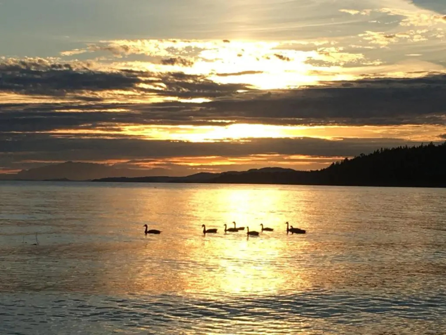 The Bonniebrook Lodge