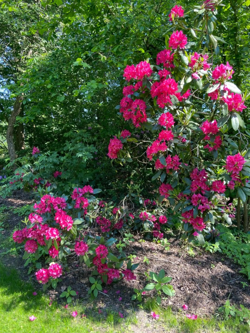 t Melkhuisje - EV lader aanwezig!