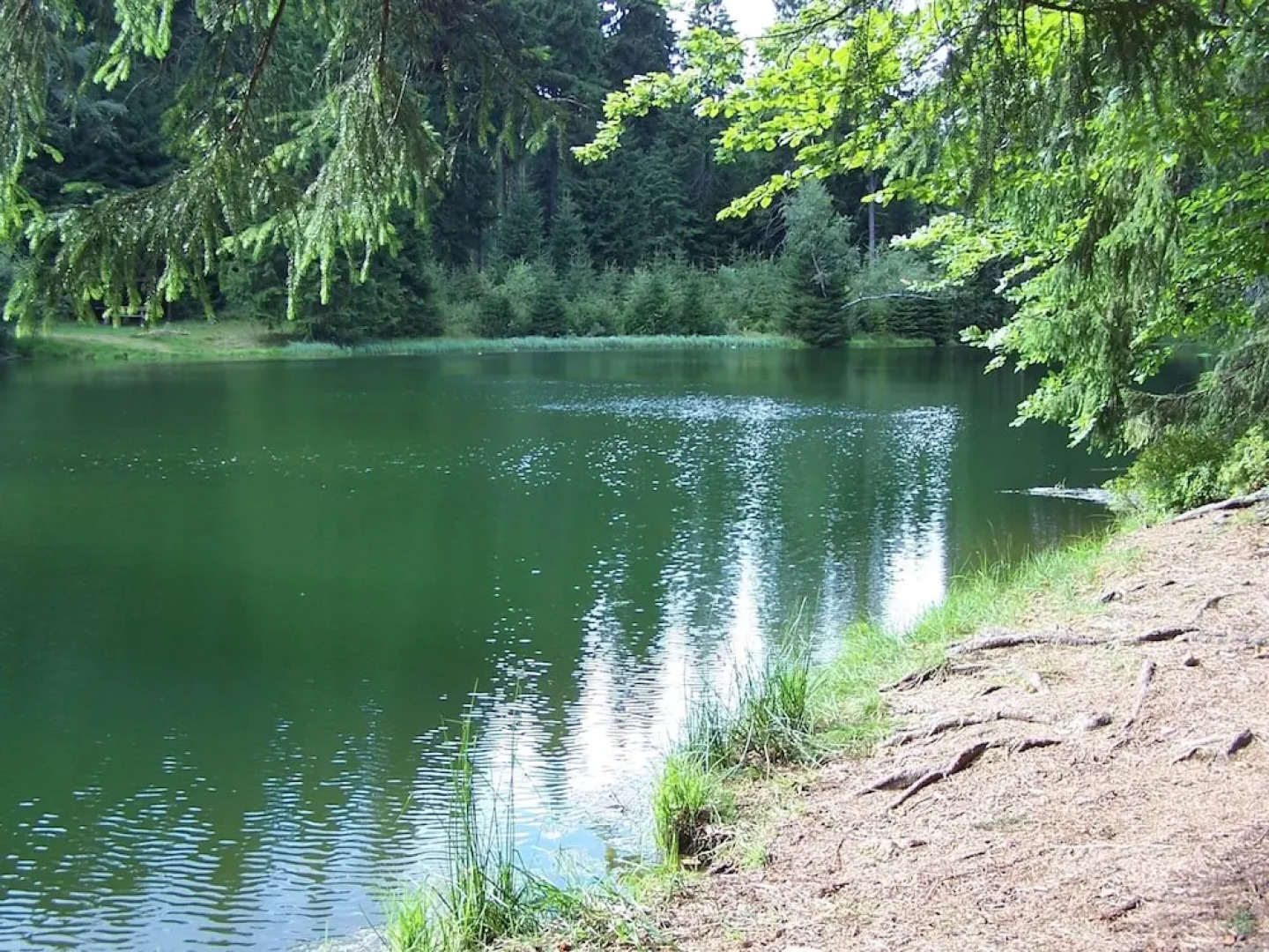 Gruppenhaus mit Sauna bis zu 18 Personen