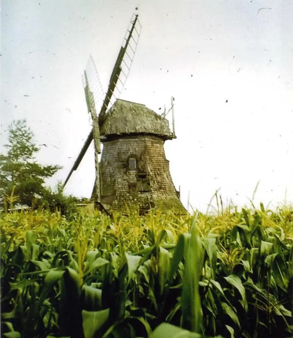 Zur schönen Müllerin