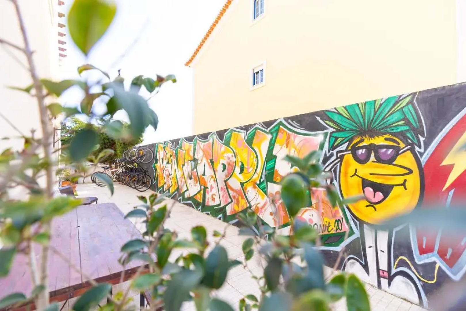 Pineapple Surf House - Hostel