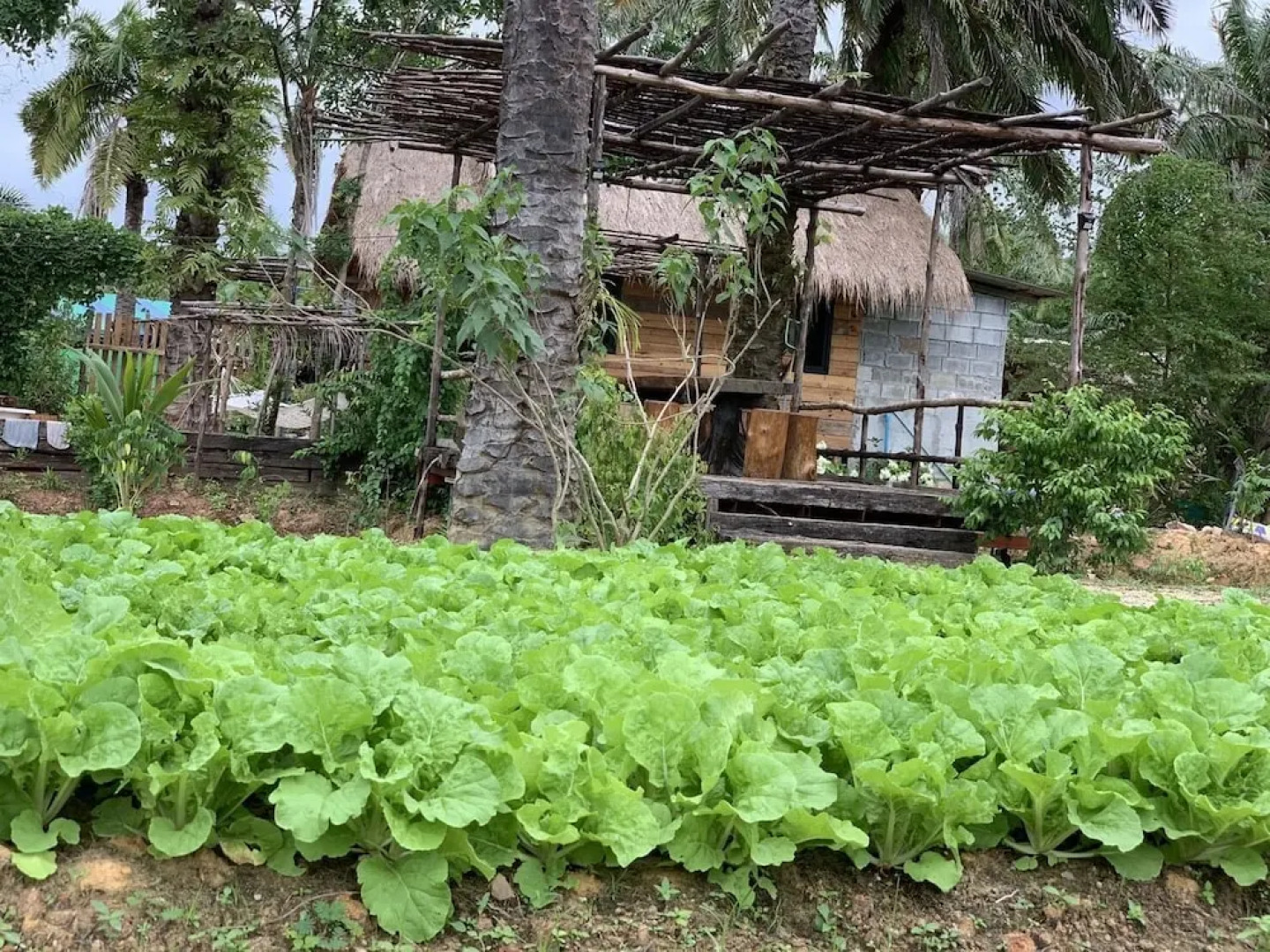 Amarit Onsen Homestay