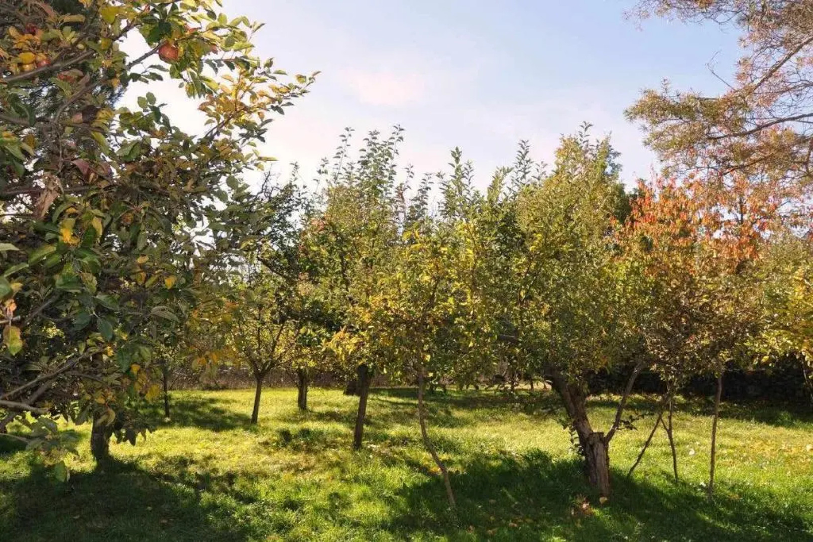 La Quinta Del Chocolatero