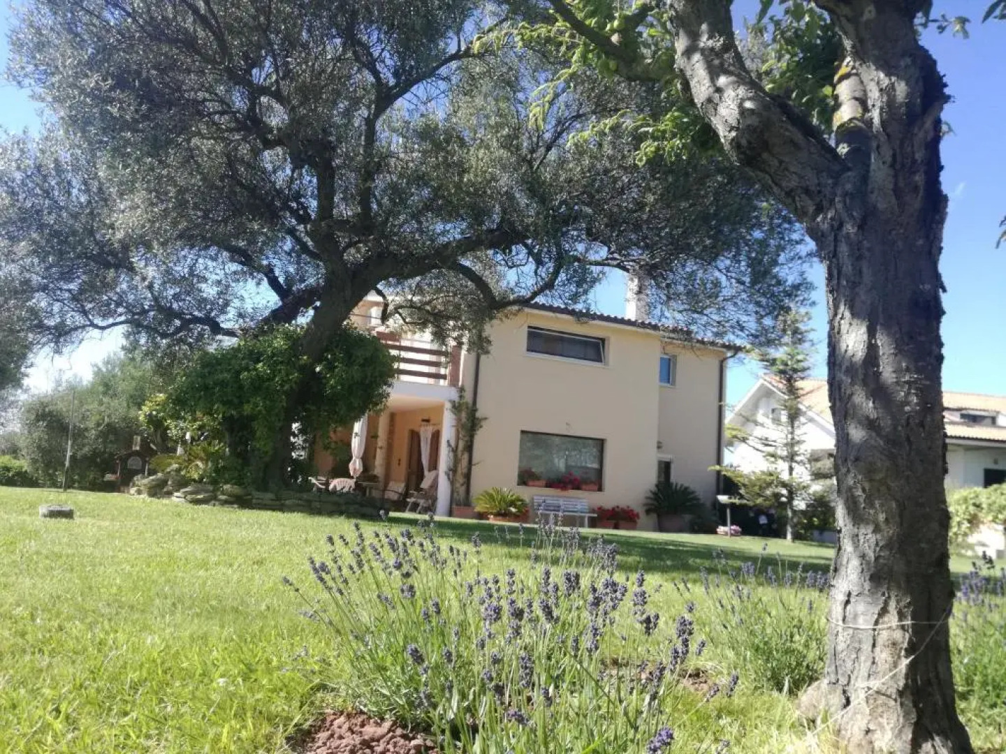 La Collina del Riccio