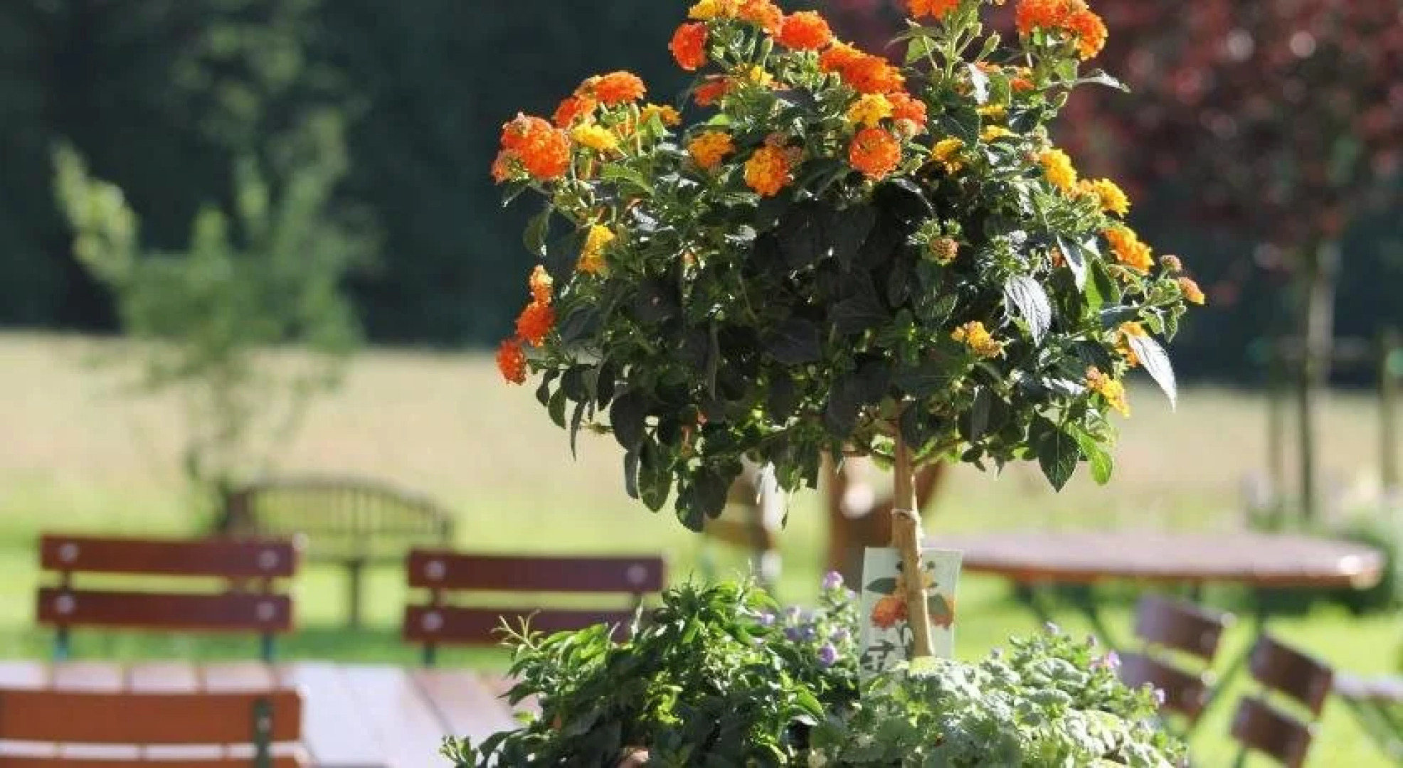 Solhof Schömberg Hotel & Restaurant