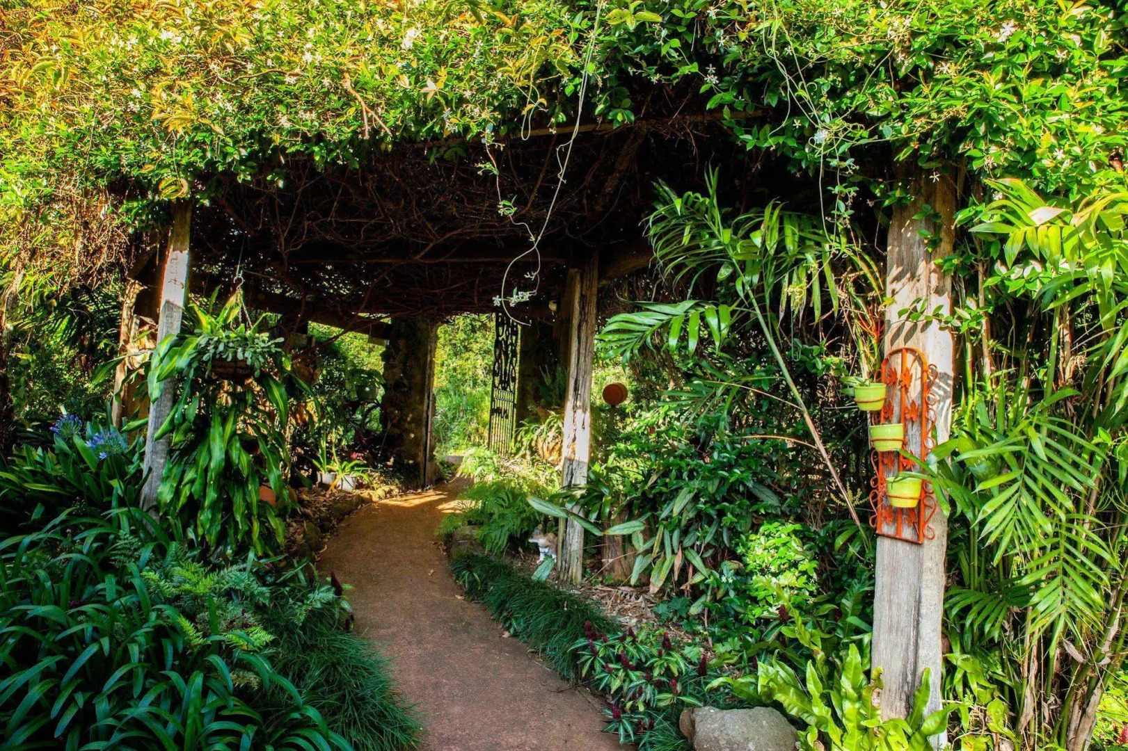 Tamborine Mountain B&B