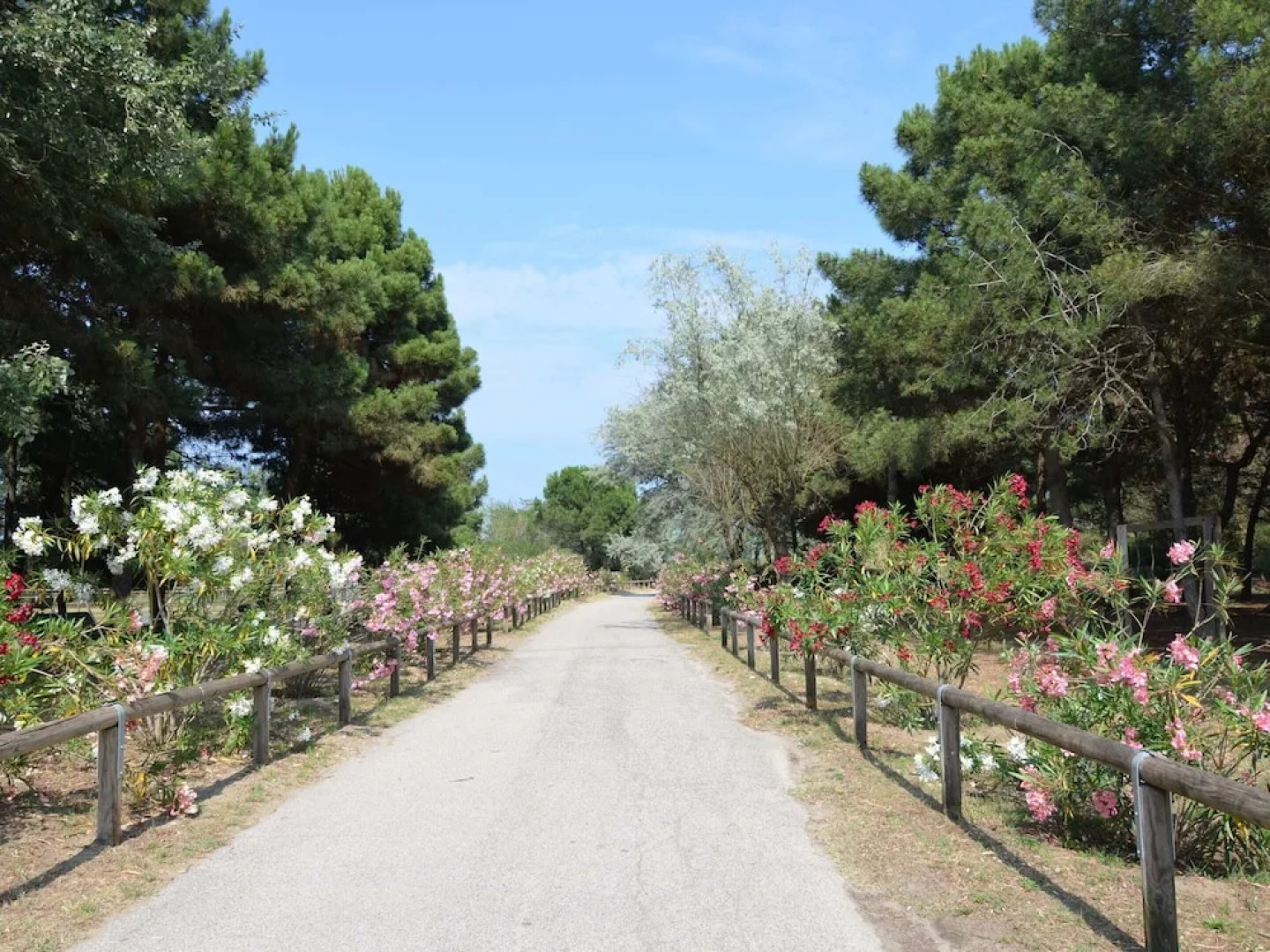 Bungalow in Po Delta Park With Beach Access