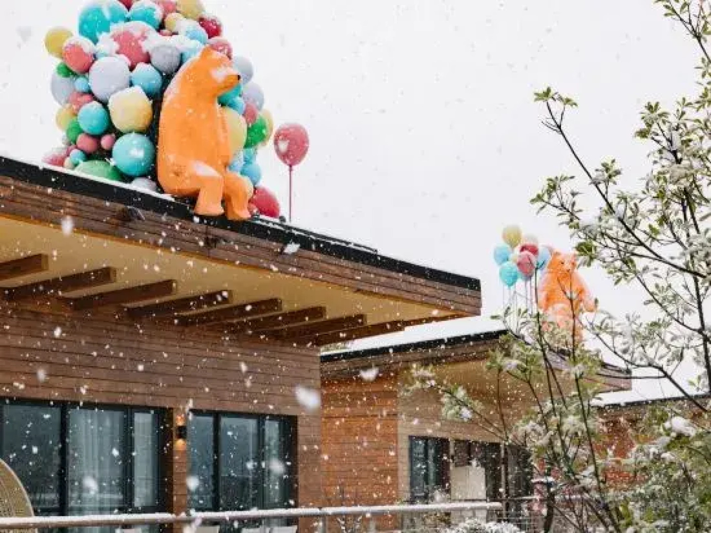 Mogan Mountain Senbo nature park&resort