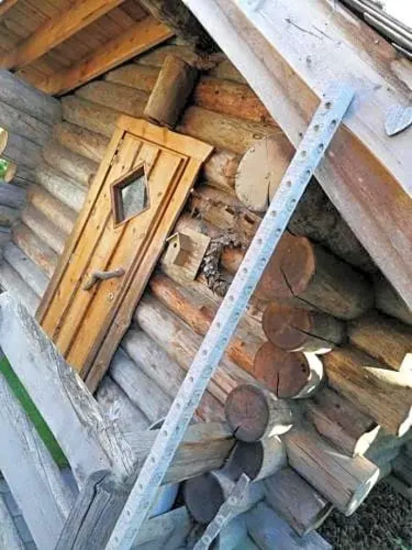 B&B Instituut Tim Torfs Wellness