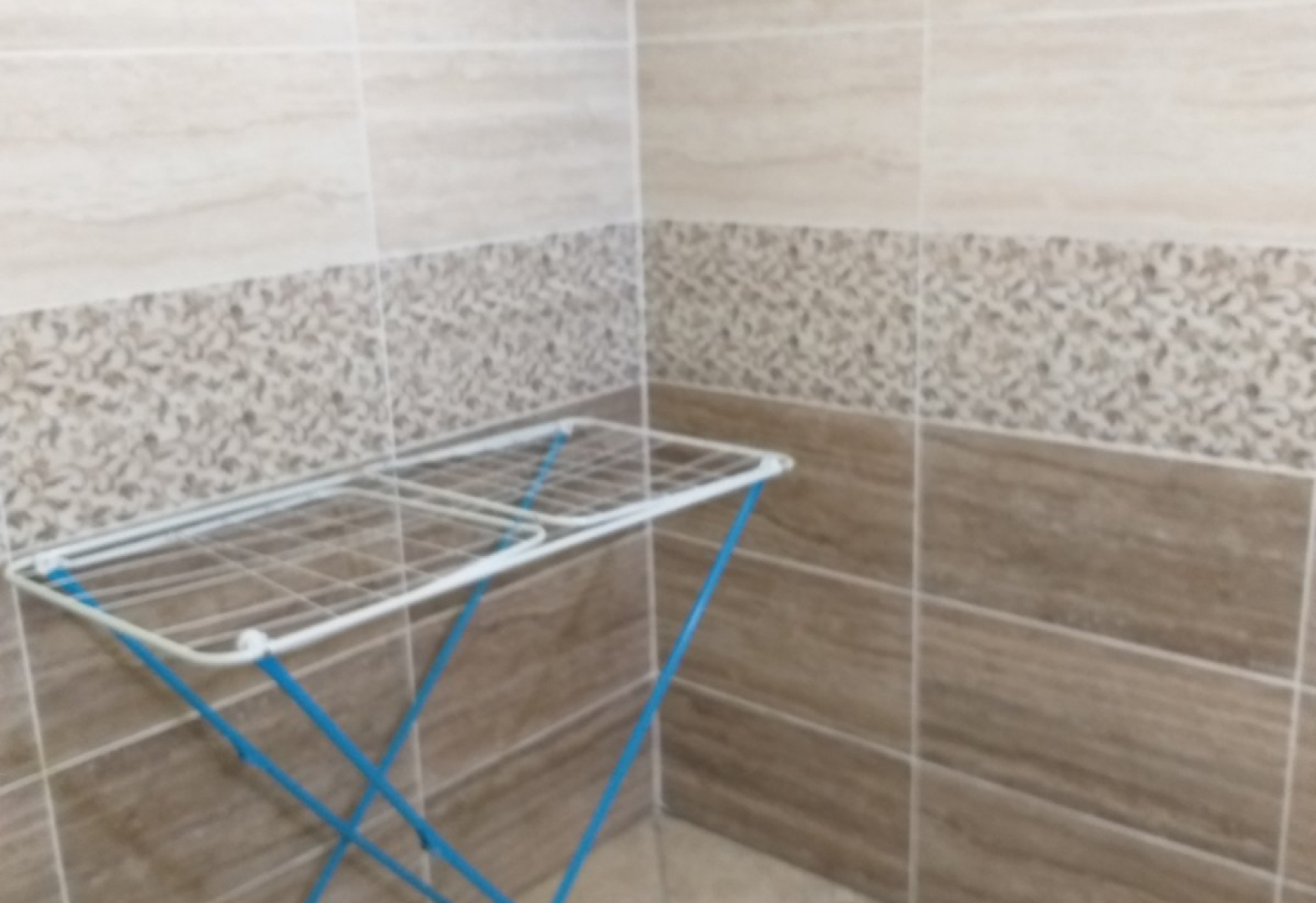 "Зеленый бор"