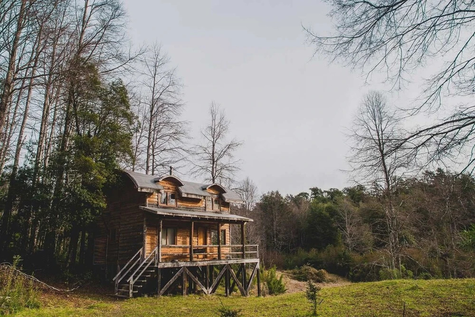 Huilo Huilo Cabanas del Bosque